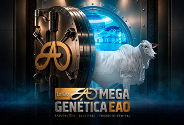 LEILÃO MEGA GENÉTICA EAO